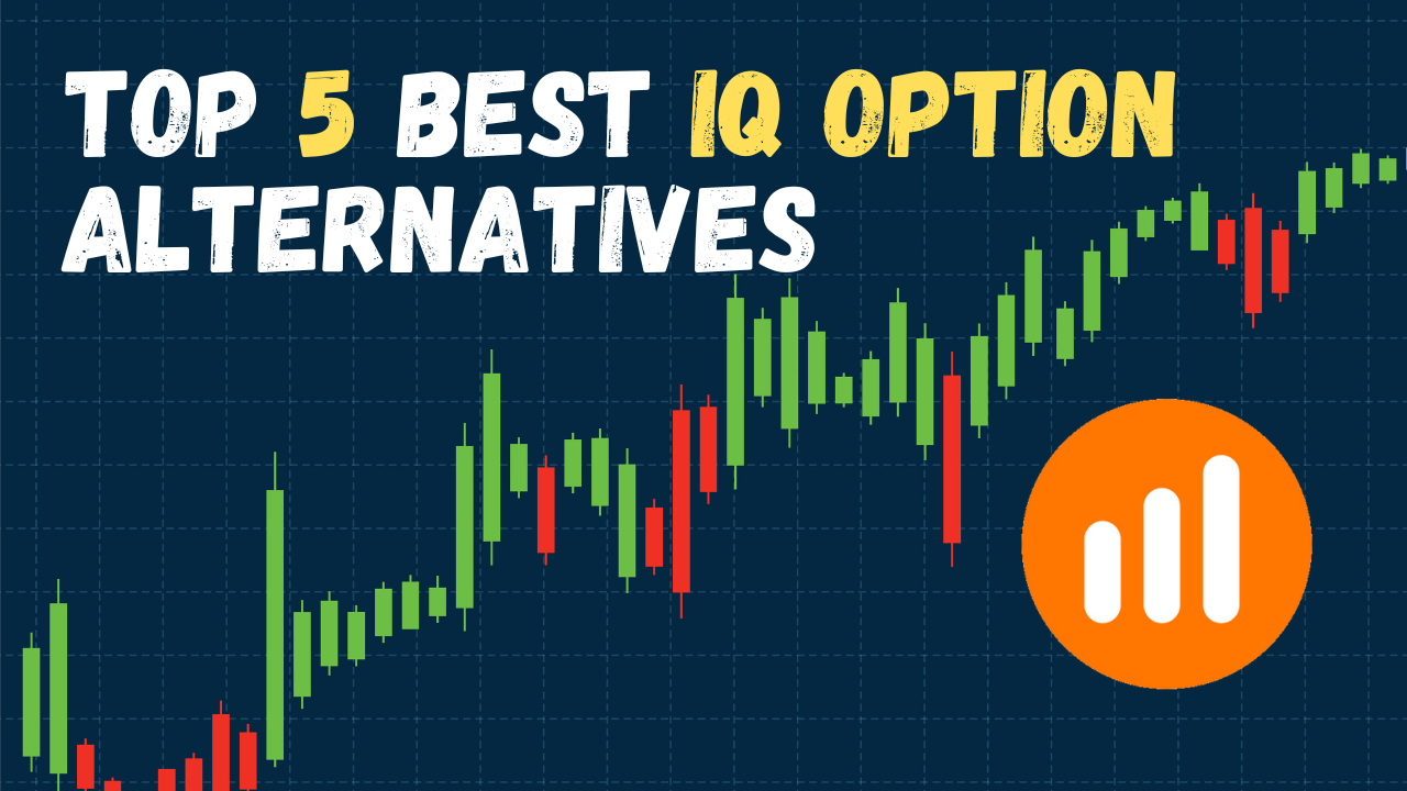 5 Best IQ Option Alternatives for Beginner Traders