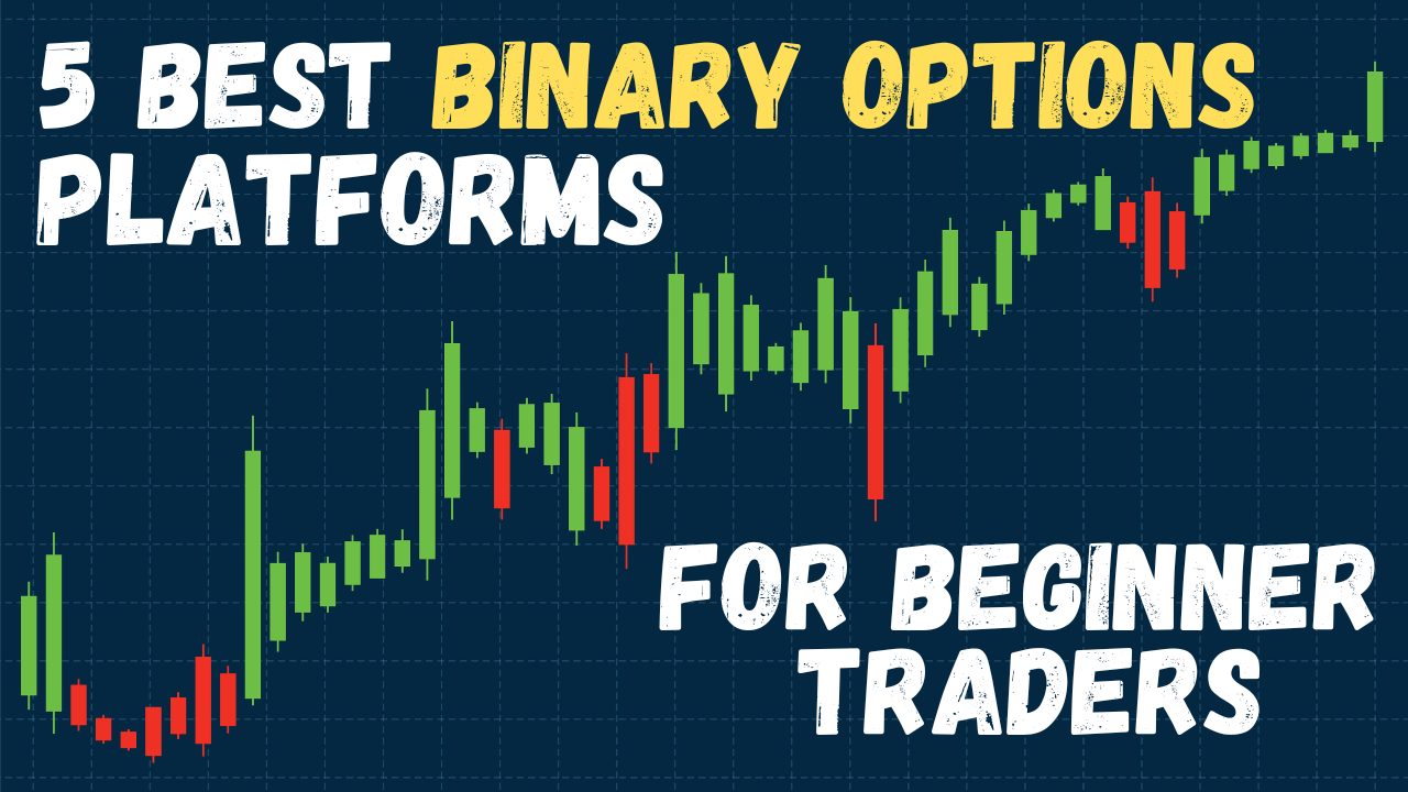 Top 5 Best Binary Options Platforms for Beginner Traders
