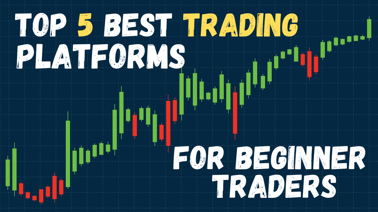 Top 5 Best Trading Platforms for Beginner Traders