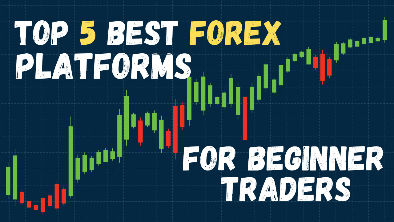 Top 5 Forex Trading Platforms for Beginner Traders